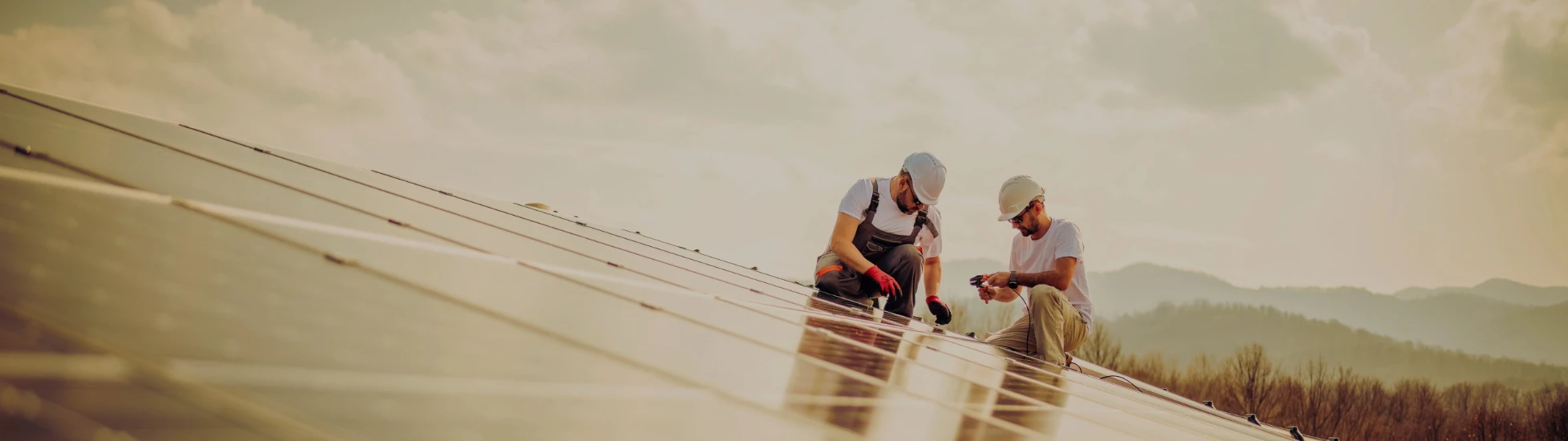 Ondersteuning zonnepaneelprojecten