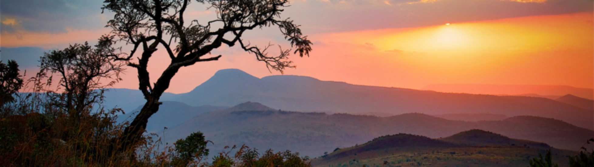 Exportkredietverzekeringen in Afrika