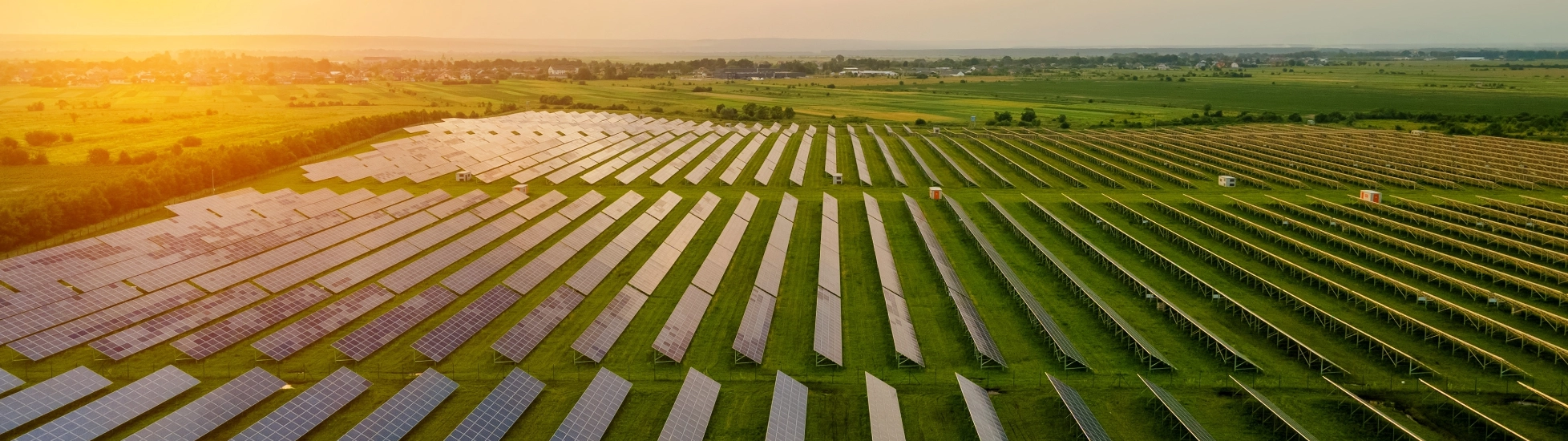 solar panel field in sunset