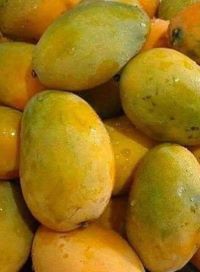 mangos